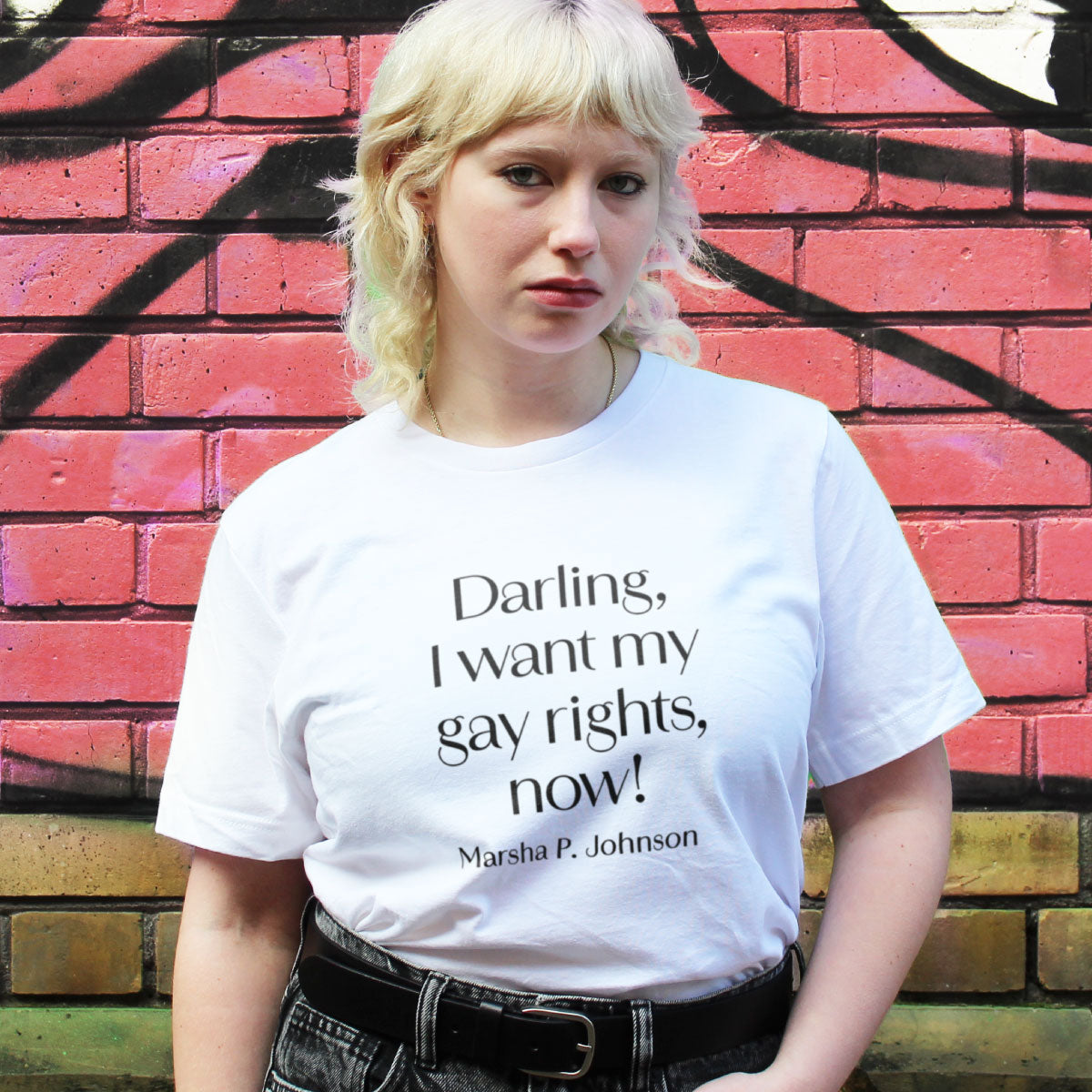 Darling, I Want My Gay Rights Now! T-Shirt-LGBT Apparel, LGBT Clothing, LGBT T Shirt, BC3001-The Spark Company