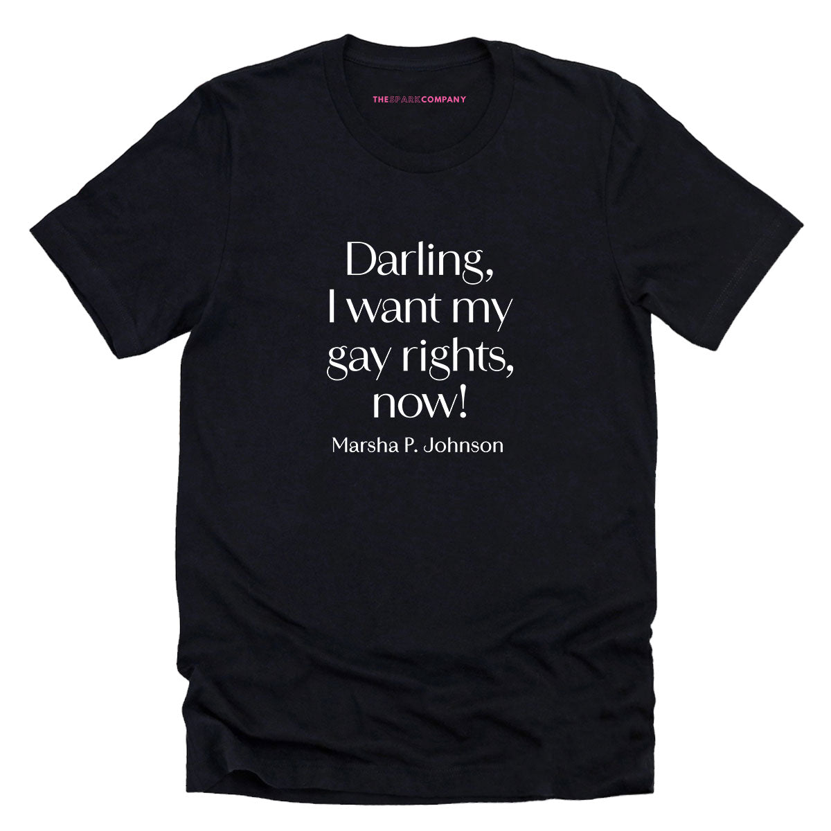 Darling, I Want My Gay Rights Now! T-Shirt-LGBT Apparel, LGBT Clothing, LGBT T Shirt, BC3001-The Spark Company