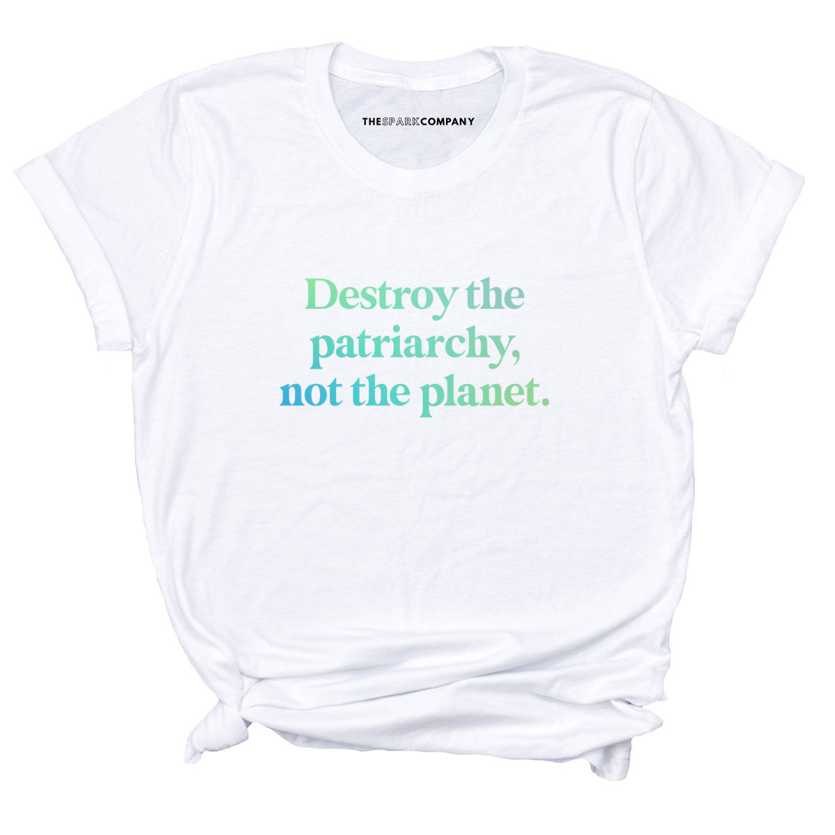 Destroy The Patriarchy Not The Planet T-Shirt-Feminist Apparel, Feminist Clothing, Feminist T Shirt, BC3001-The Spark Company