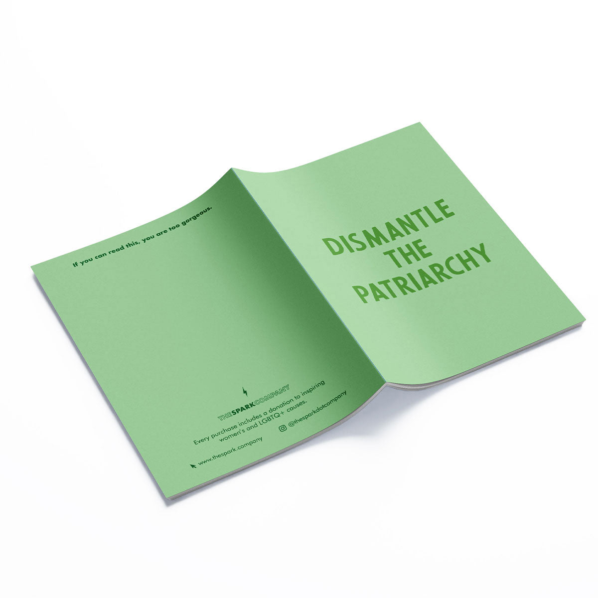 Empowering Notebooks (3 Pack)-Feminist Apparel, Feminist Gift, Feminist Notebook-The Spark Company