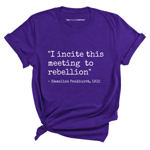I Incite This Meeting To Rebellion T-Shirt-Feminist Apparel, Feminist Clothing, Feminist T Shirt, BC3001-The Spark Company