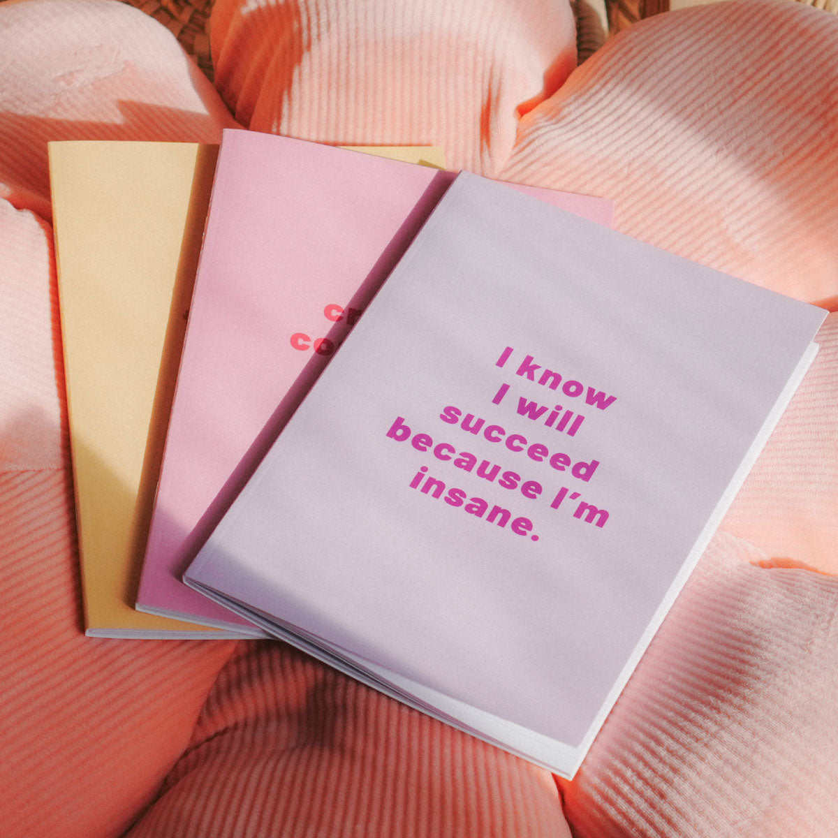 Insane Notebooks (3 Pack)-Feminist Apparel, Feminist Gift, Feminist Notebook-The Spark Company
