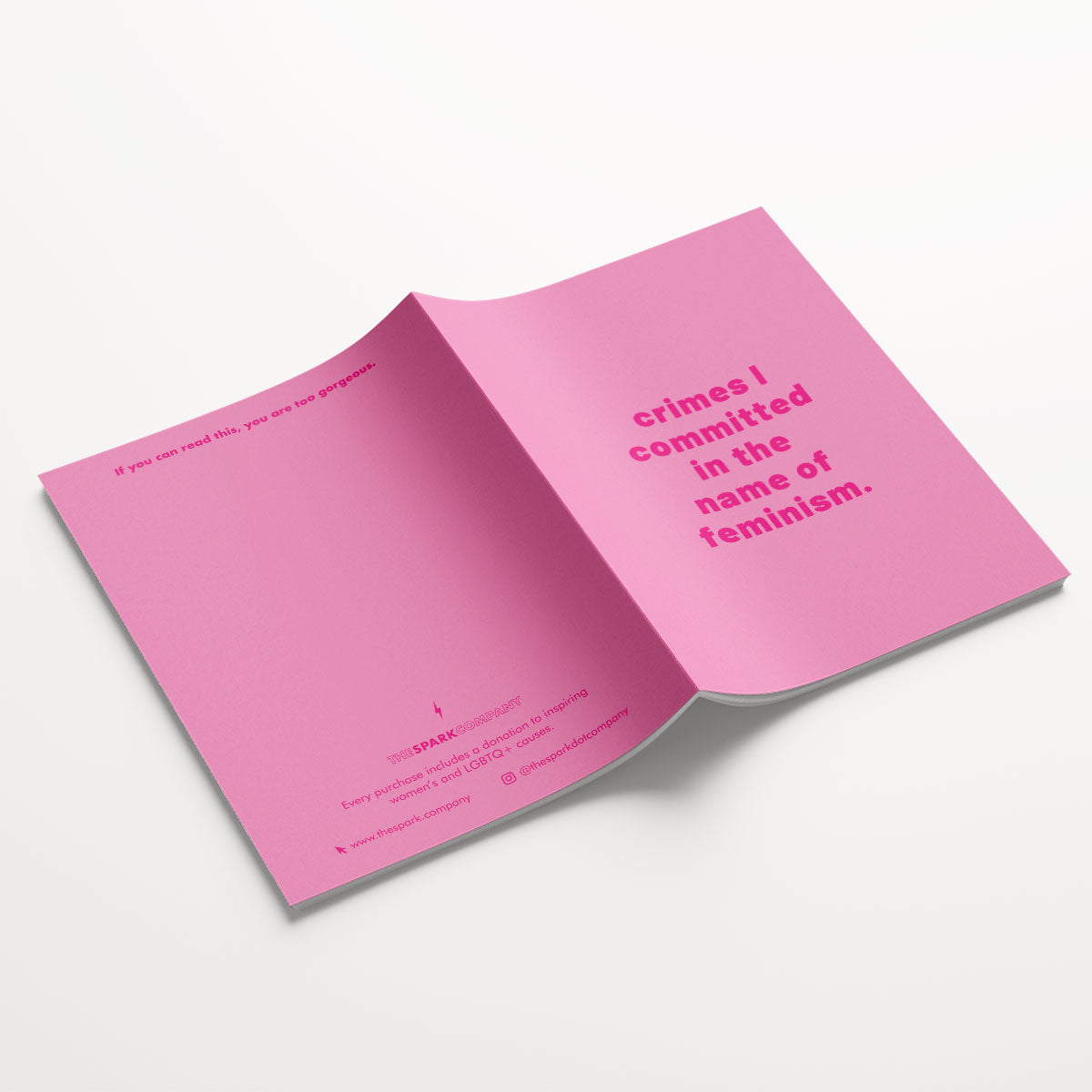 Insane Notebooks (3 Pack)-Feminist Apparel, Feminist Gift, Feminist Notebook-The Spark Company