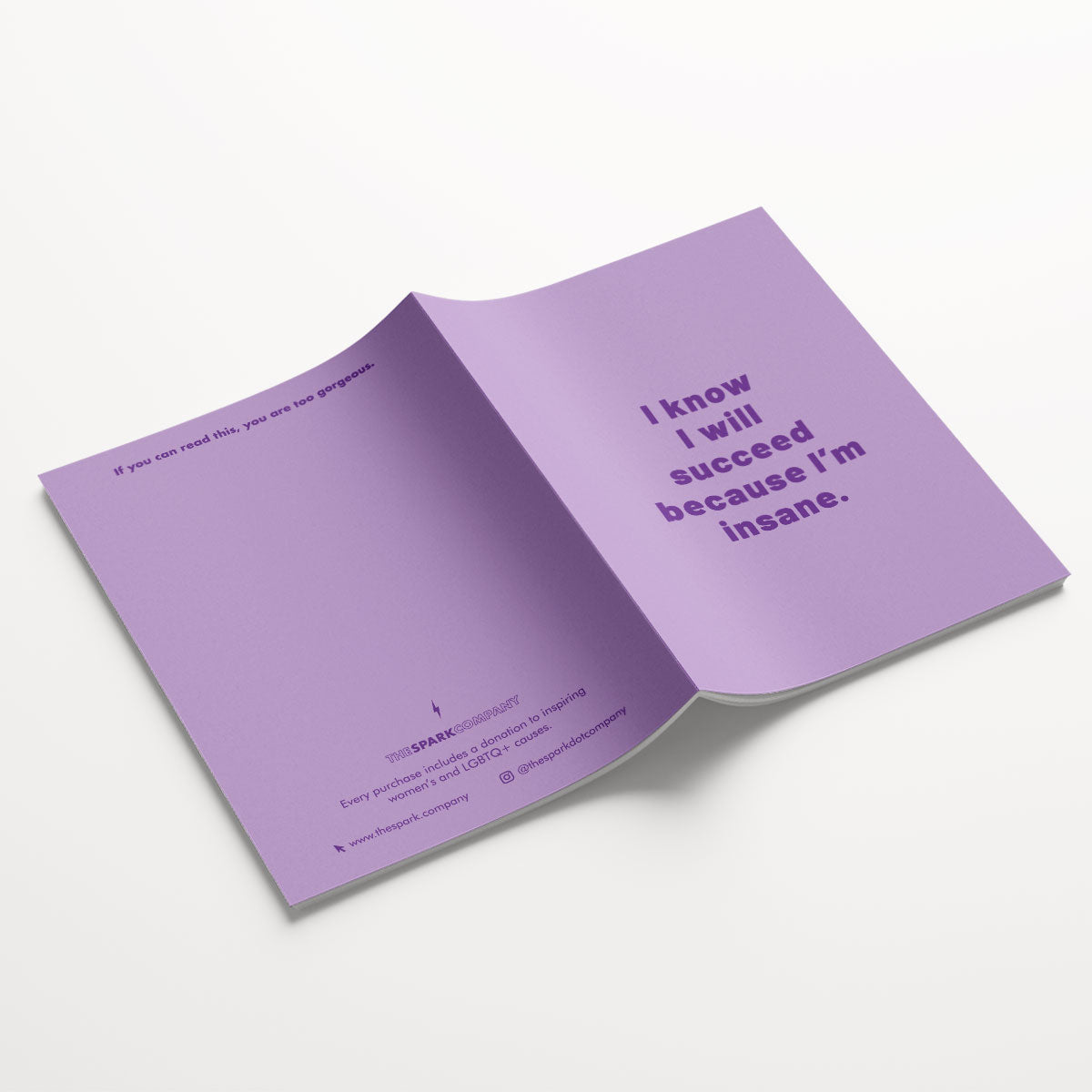 Insane Notebooks (3 Pack)-Feminist Apparel, Feminist Gift, Feminist Notebook-The Spark Company