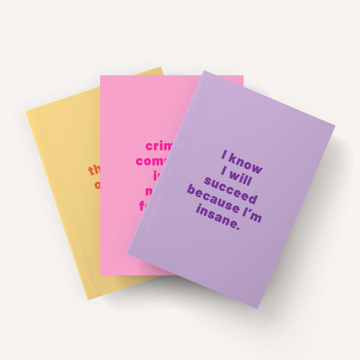 Insane Notebooks (3 Pack)-Feminist Apparel, Feminist Gift, Feminist Notebook-The Spark Company
