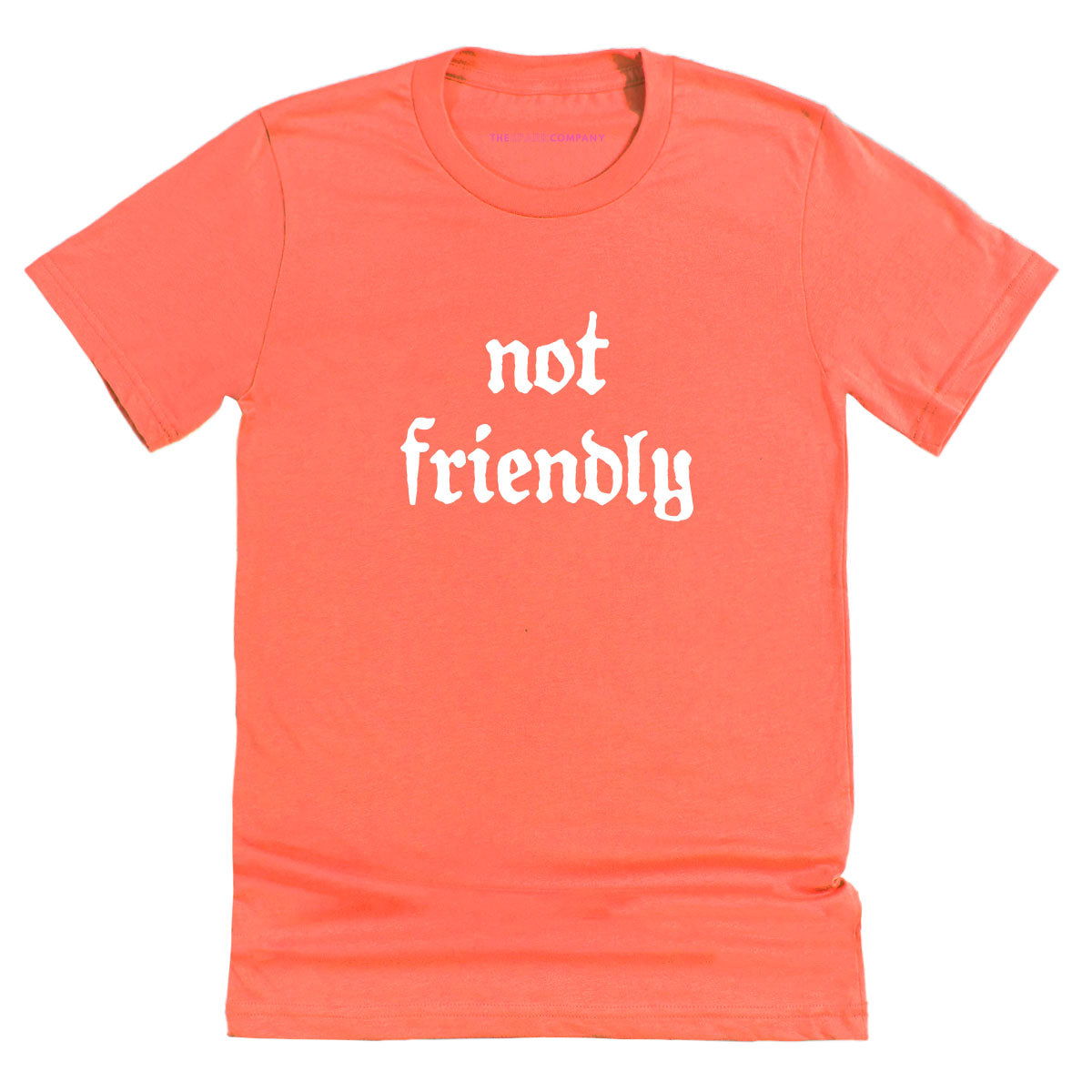 Not Friendly T-Shirt-Feminist Apparel, Feminist Clothing, Feminist T Shirt, BC3001-The Spark Company
