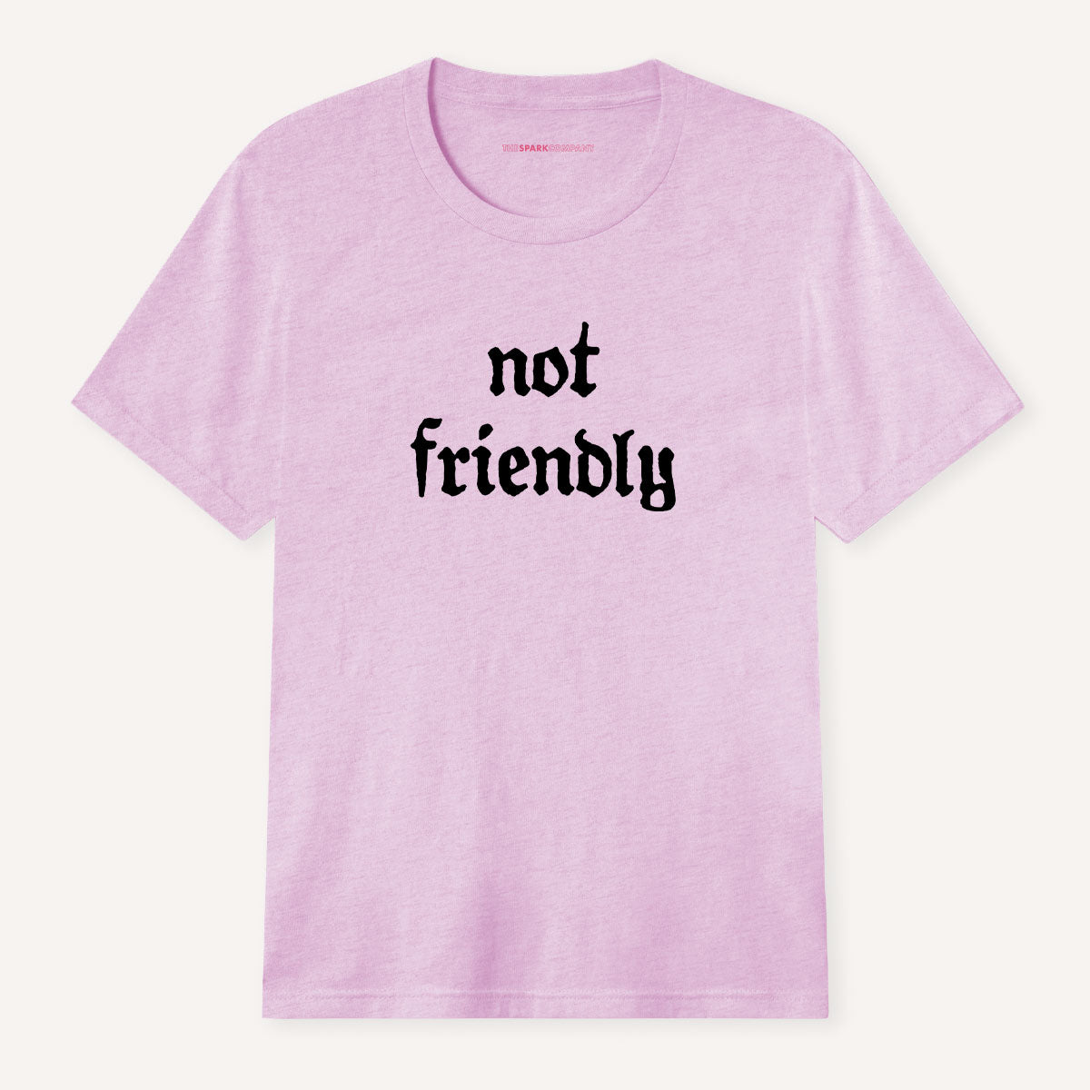 Not Friendly T-Shirt-Feminist Apparel, Feminist Clothing, Feminist T Shirt, BC3001-The Spark Company