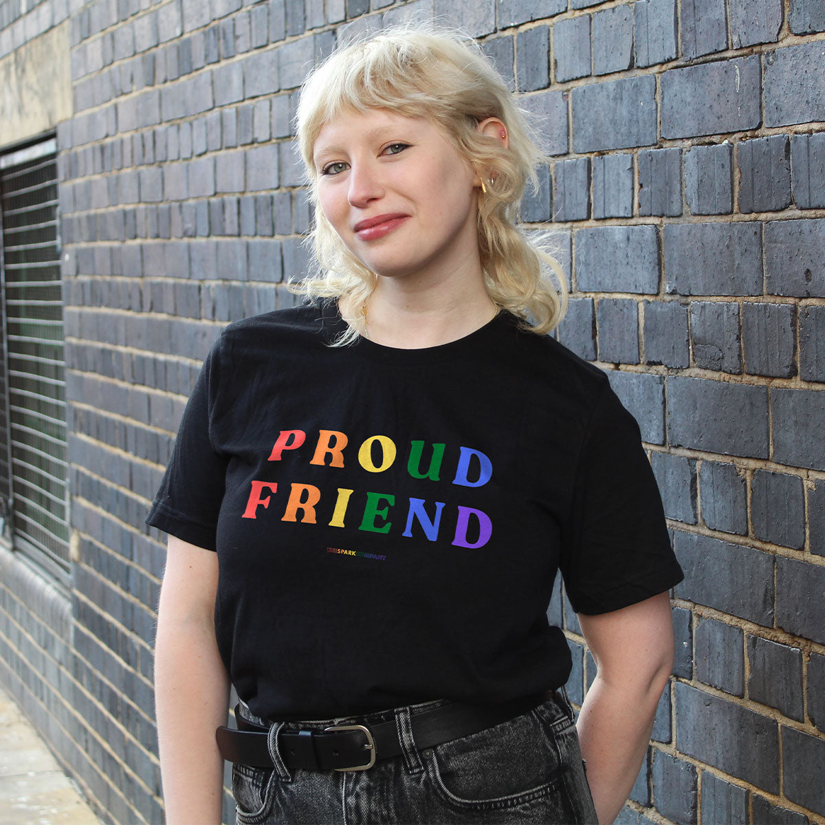 Proud Friend T-Shirt-LGBT Apparel, LGBT Clothing, LGBT T Shirt, BC3001-The Spark Company
