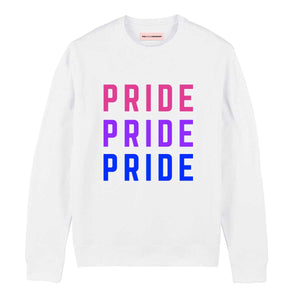 Bisexual Pride Flag Sweatshirt-LGBT Apparel, LGBT Clothing, LGBT Sweatshirt, JH030-The Spark Company