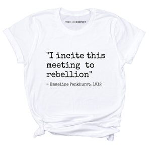 I Incite This Meeting To Rebellion T-Shirt-Feminist Apparel, Feminist Clothing, Feminist T Shirt, BC3001-The Spark Company