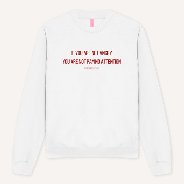 If You Are Not Angry You Are Not Paying Attention Sweatshirt