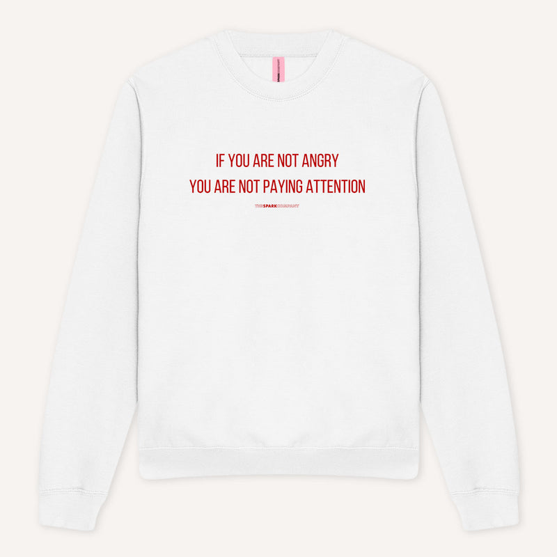 If You Are Not Angry You Are Not Paying Attention Sweatshirt