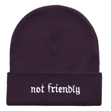 Load image into Gallery viewer, Not Friendly Embroidered Beanie Hat-Feminist Apparel, Feminist Gift, Feminist Cuffed Beanie Hat, BB45-The Spark Company