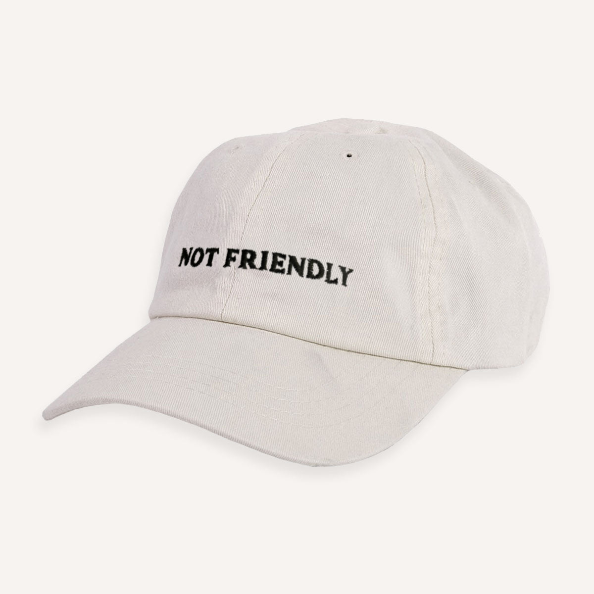 Not Friendly Slogan Cap-Feminist Apparel, Feminist Gift, Slogan Cap, BC653-The Spark Company