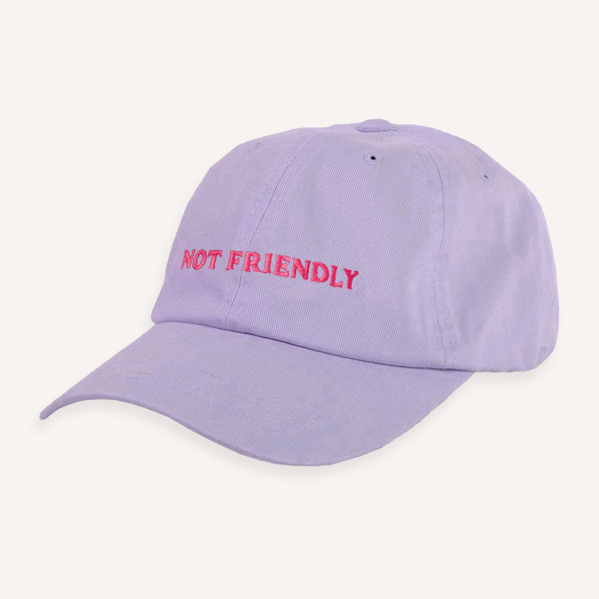 Not Friendly Slogan Cap-Feminist Apparel, Feminist Gift, Slogan Cap, BC653-The Spark Company