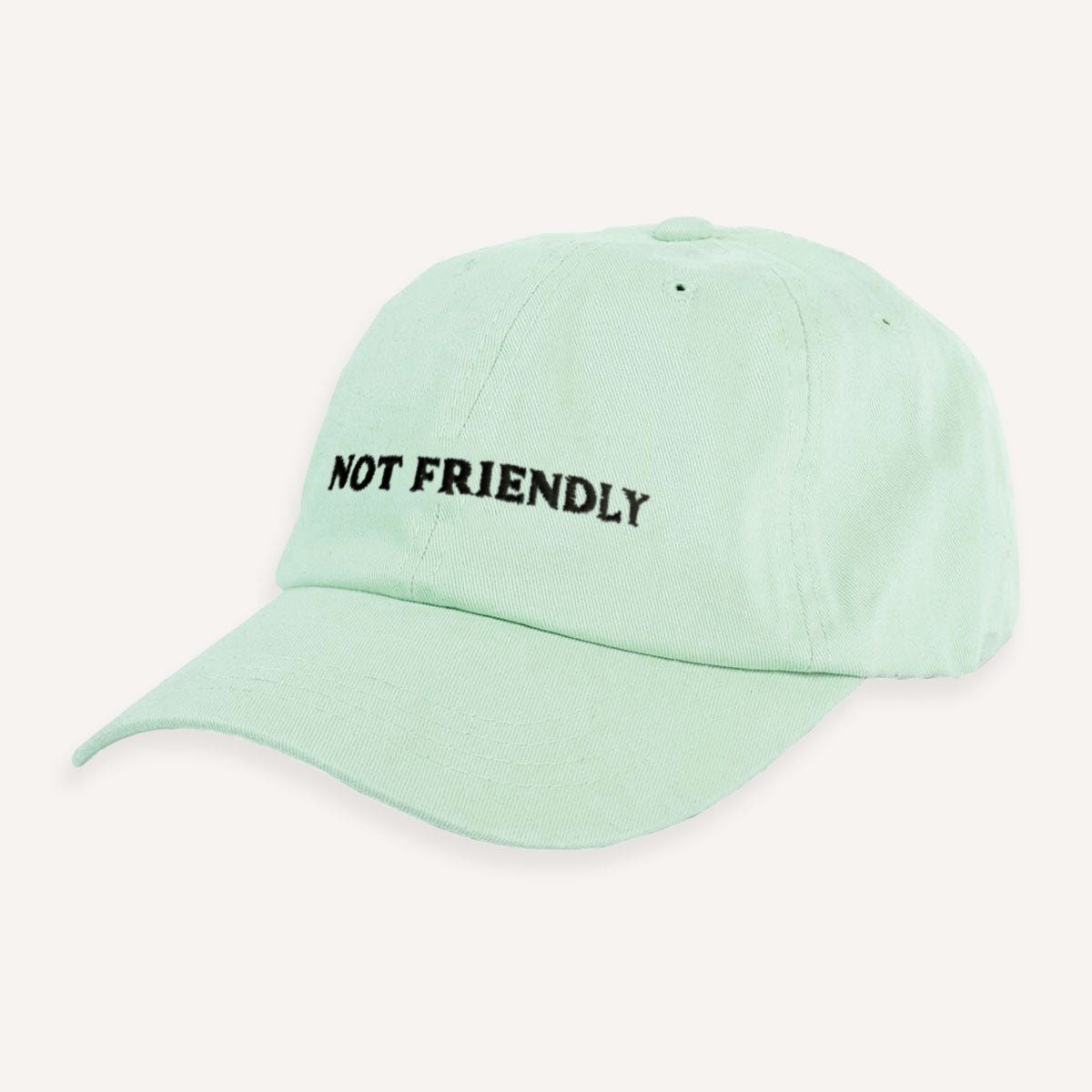 Not Friendly Slogan Cap-Feminist Apparel, Feminist Gift, Slogan Cap, BC653-The Spark Company