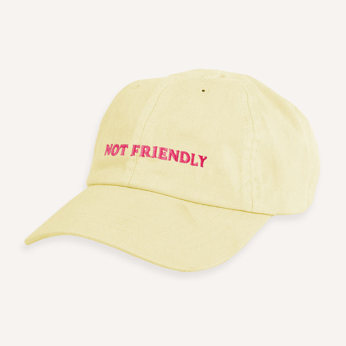Not Friendly Slogan Cap-Feminist Apparel, Feminist Gift, Slogan Cap, BC653-The Spark Company