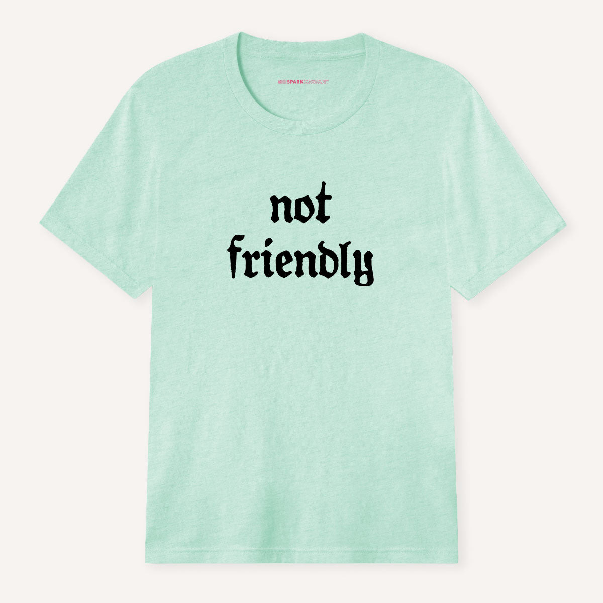 Not Friendly T-Shirt-Feminist Apparel, Feminist Clothing, Feminist T Shirt, BC3001-The Spark Company