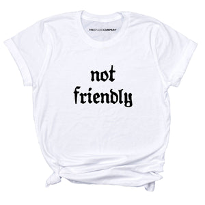 Not Friendly T-Shirt-Feminist Apparel, Feminist Clothing, Feminist T Shirt, BC3001-The Spark Company