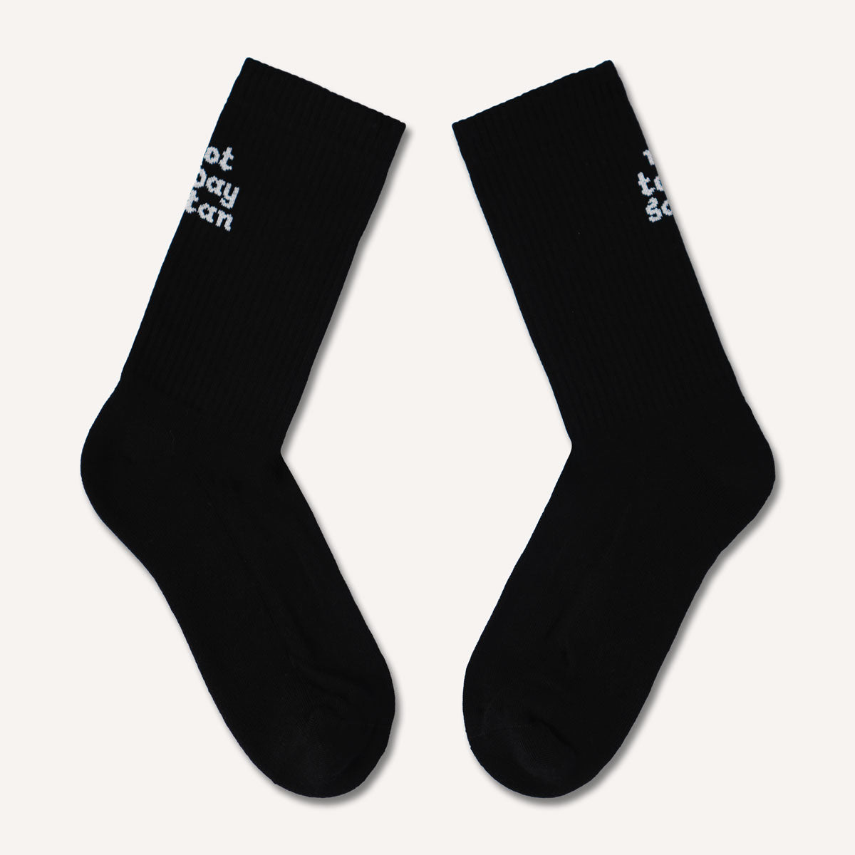 Not Today Satan Socks-Feminist Apparel, Feminist Clothing, Feminist Socks-The Spark Company