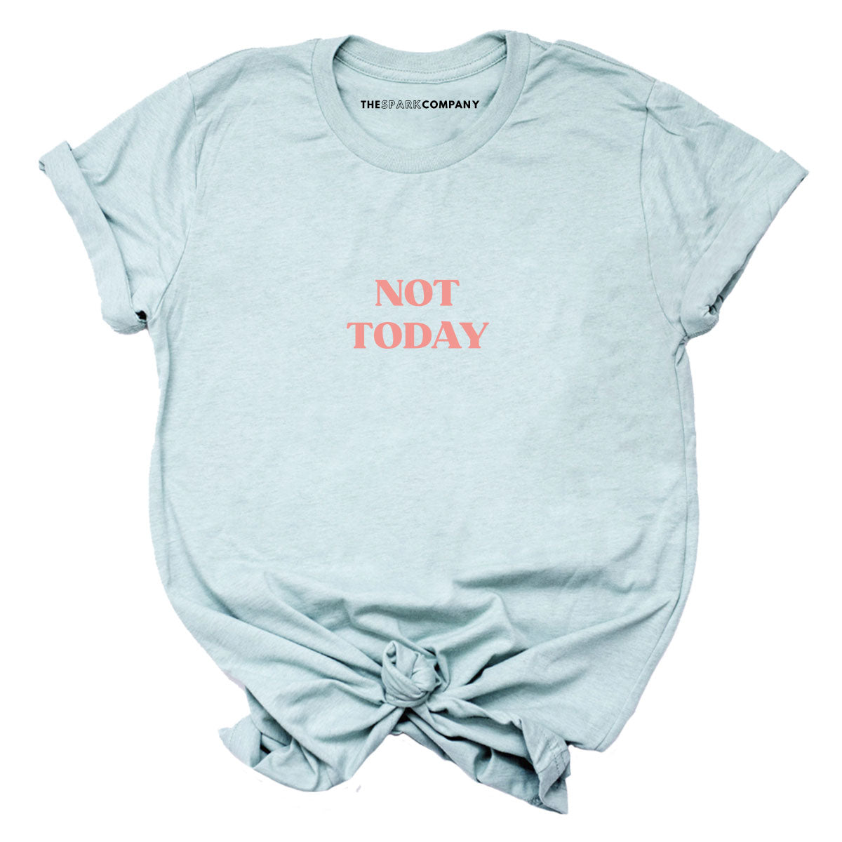 Not Today T-Shirt-Feminist Apparel, Feminist Clothing, Feminist T Shirt, BC3001-The Spark Company