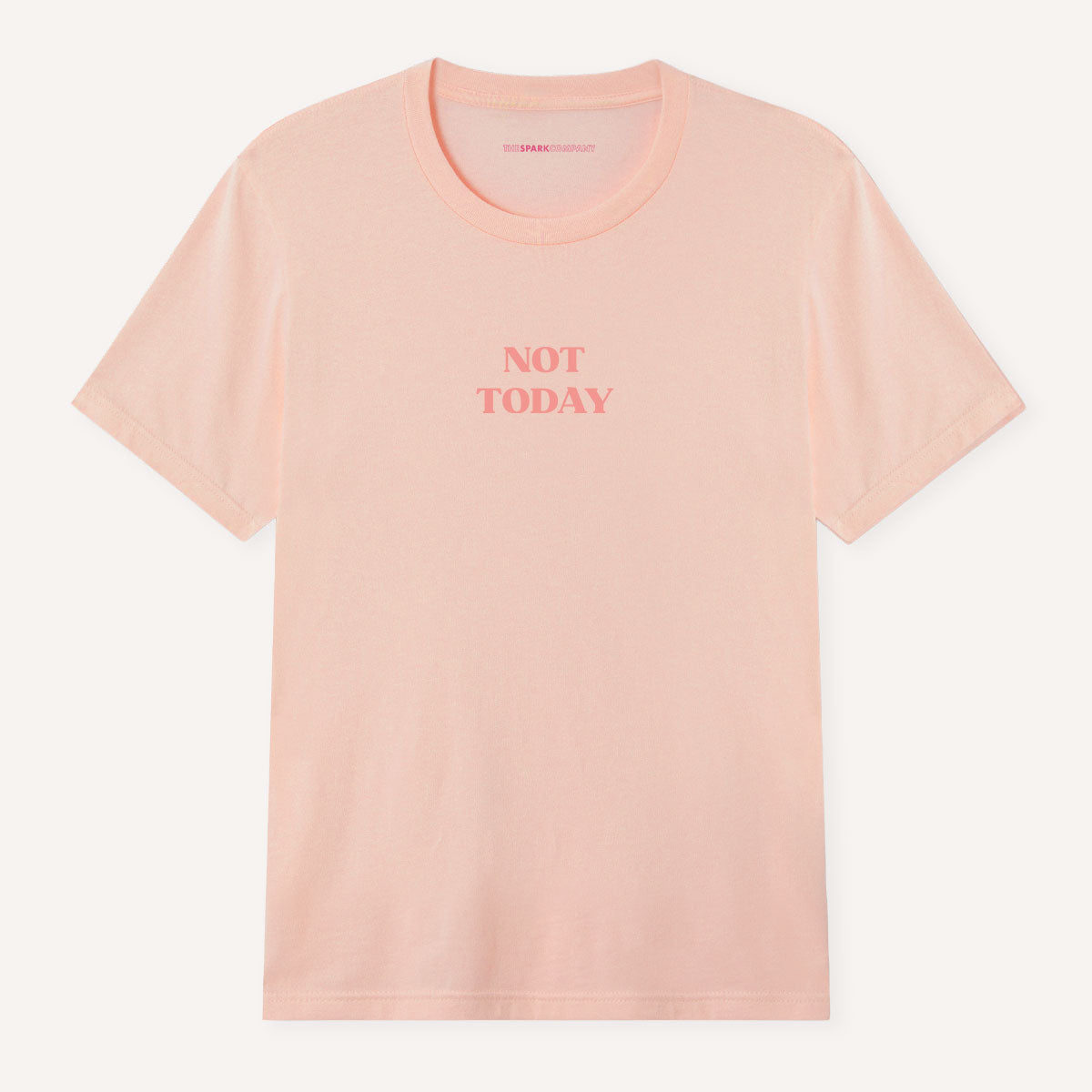 Not Today T-Shirt-Feminist Apparel, Feminist Clothing, Feminist T Shirt, BC3001-The Spark Company