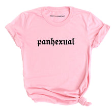 Load image into Gallery viewer, Panhexual T-Shirt-LGBT Apparel, LGBT Clothing, LGBT T Shirt, BC3001-The Spark Company